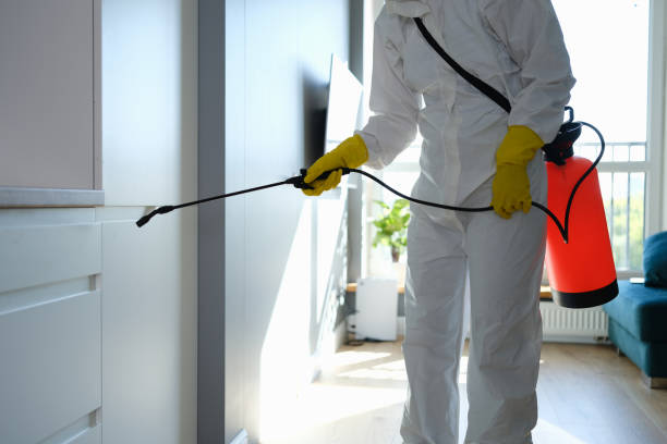 Best Mold Inspection  in Wakefield, NE