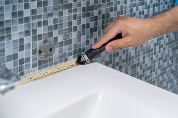 Best Fast Mold Removal  in Wakefield, NE