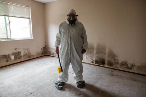 Home Mold Removal in Wakefield, NE
